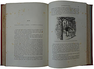 Швейцарский Робинзон. Le Robinson Suisse. Антикварное издание 1893 г. на французском языке