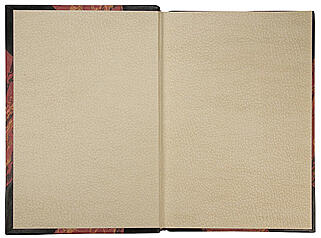 Поль Бурже. Очерки современной психологии (Антикварная книга 1888г.)