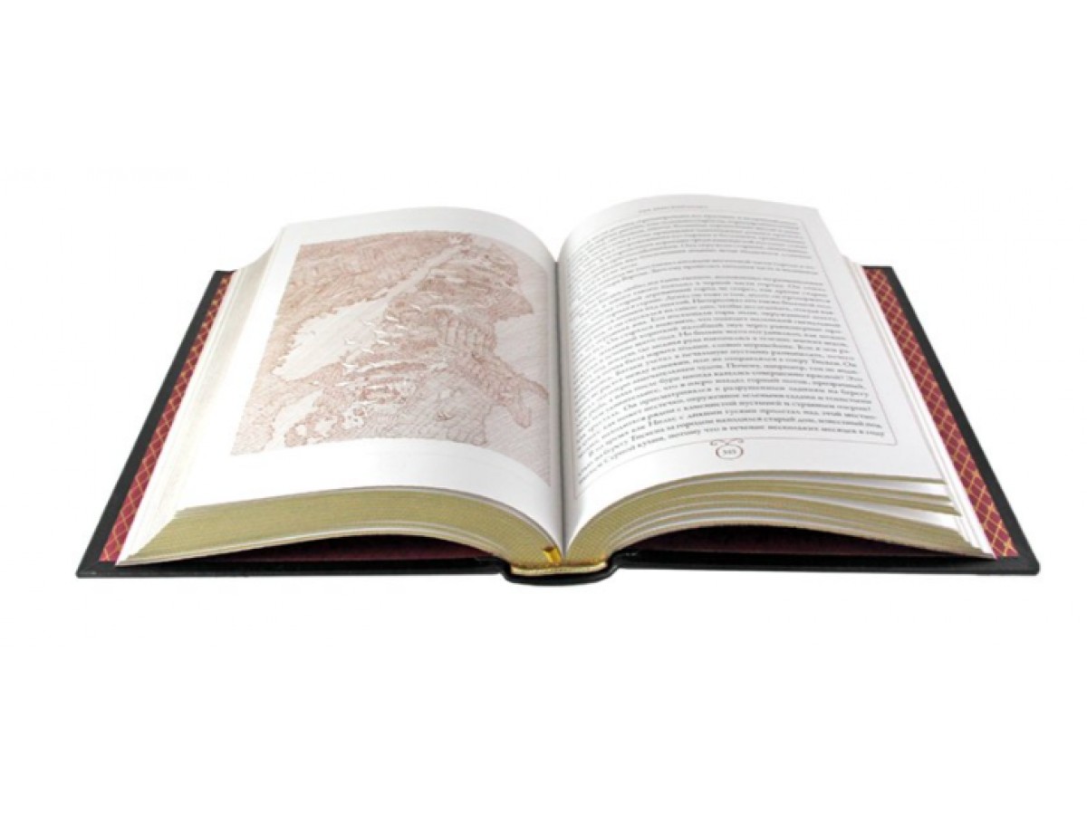 Чудесное путешествие Нильса с дикими гусями. Подарочная книга