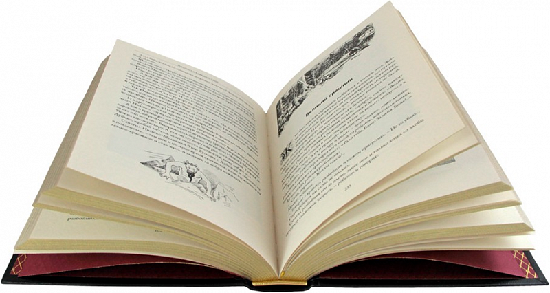 Русские народные сказки. Фёдоров-Давыдов Александр. Подарочная книга в коже