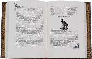 Аксаков С.Т. Записки ружейного охотника Оренбургской губернии. Подарочная книга