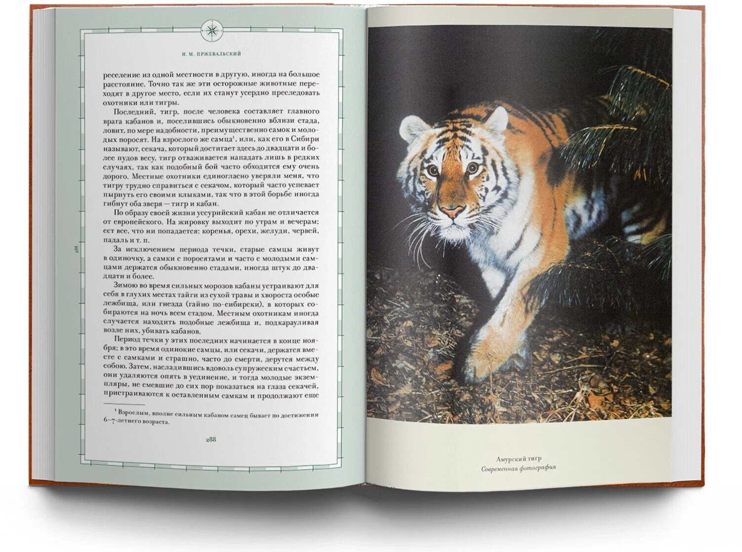 Подарочное издание «Библиотека русских путешествий» в 20-ти томах