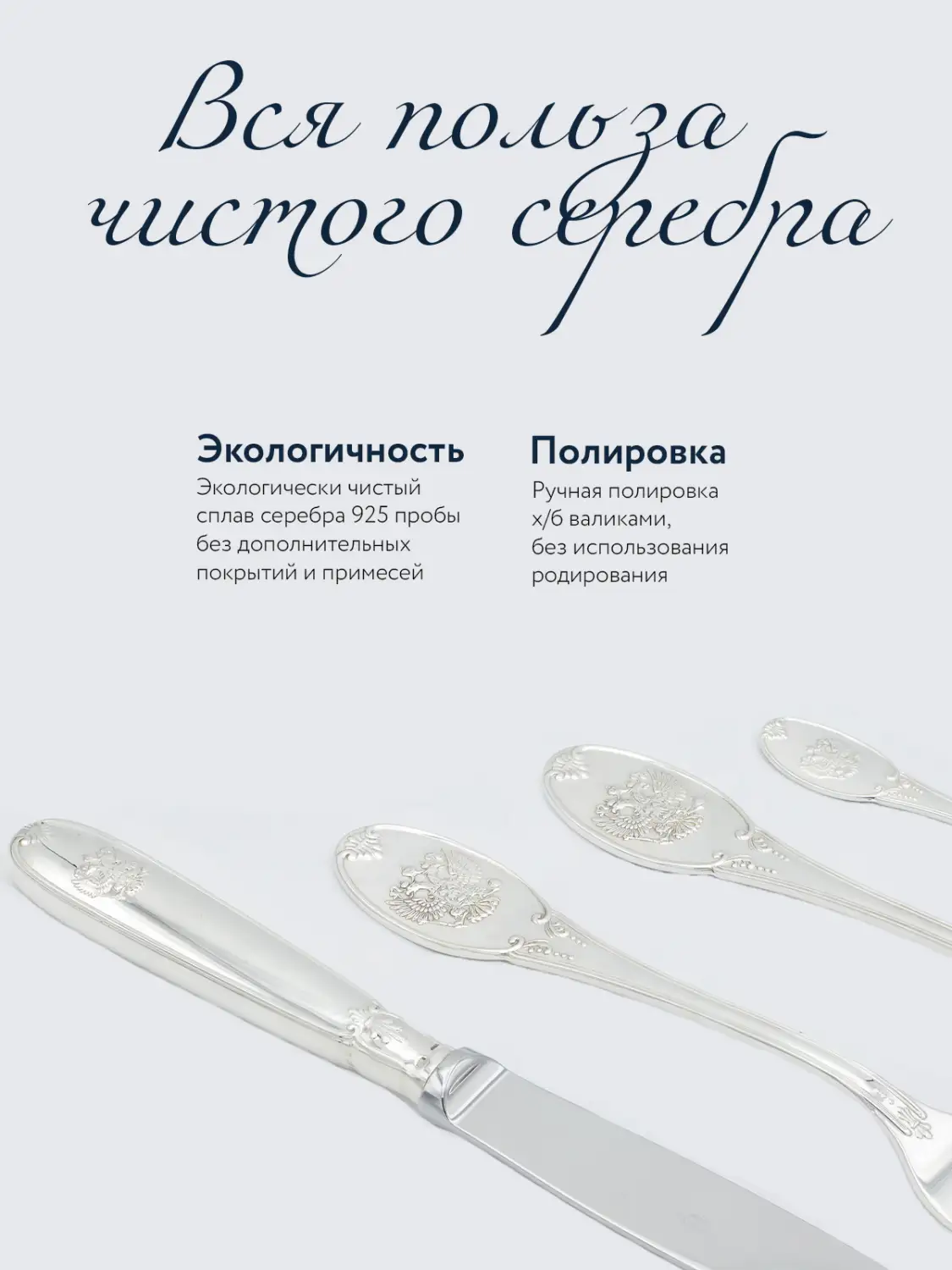 Набор столовый "Единство": ложка и чайная ложка (Серебро 925)