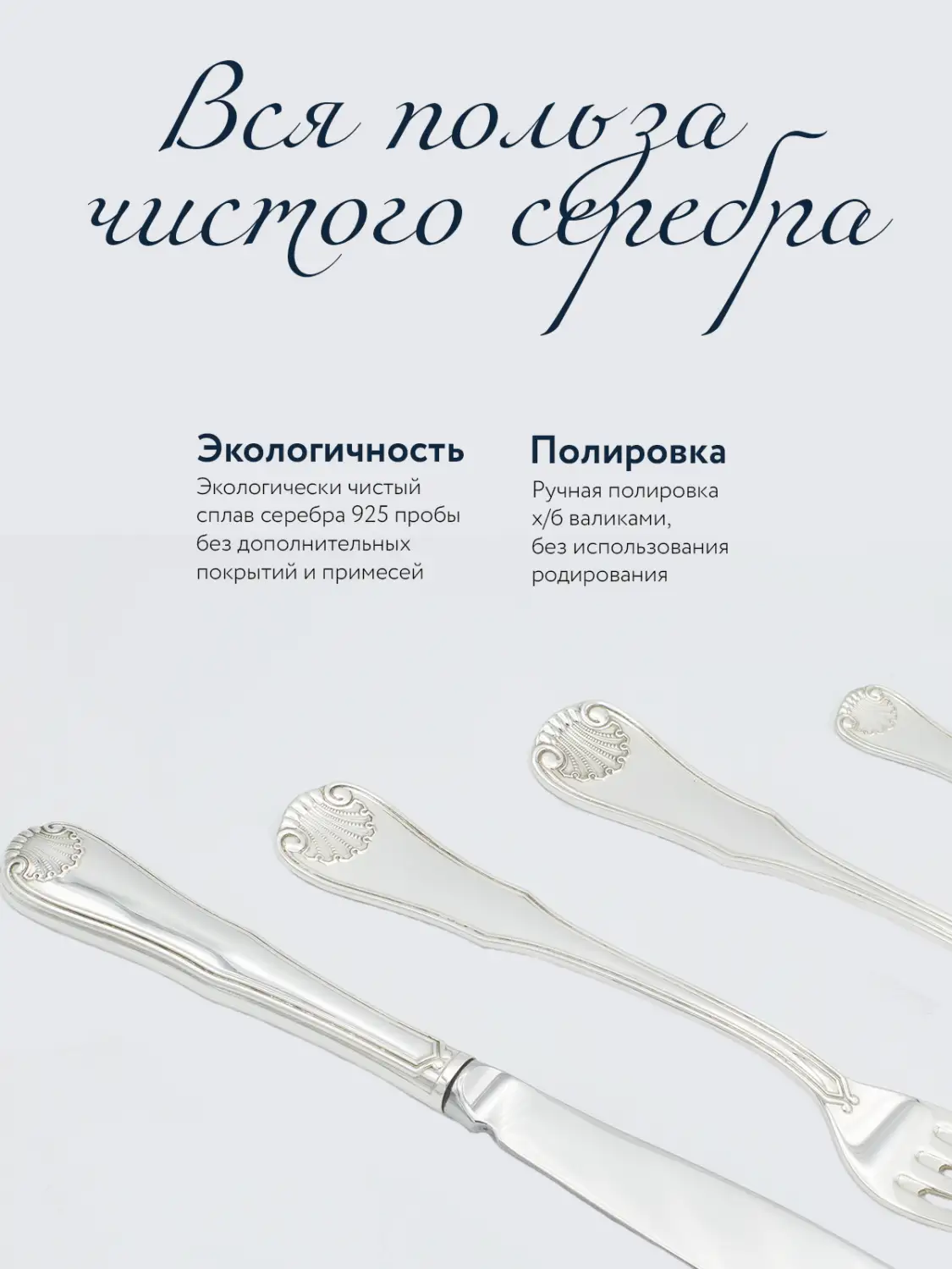 Набор столовый "Визит": ложка и чайная ложка (Серебро 925)