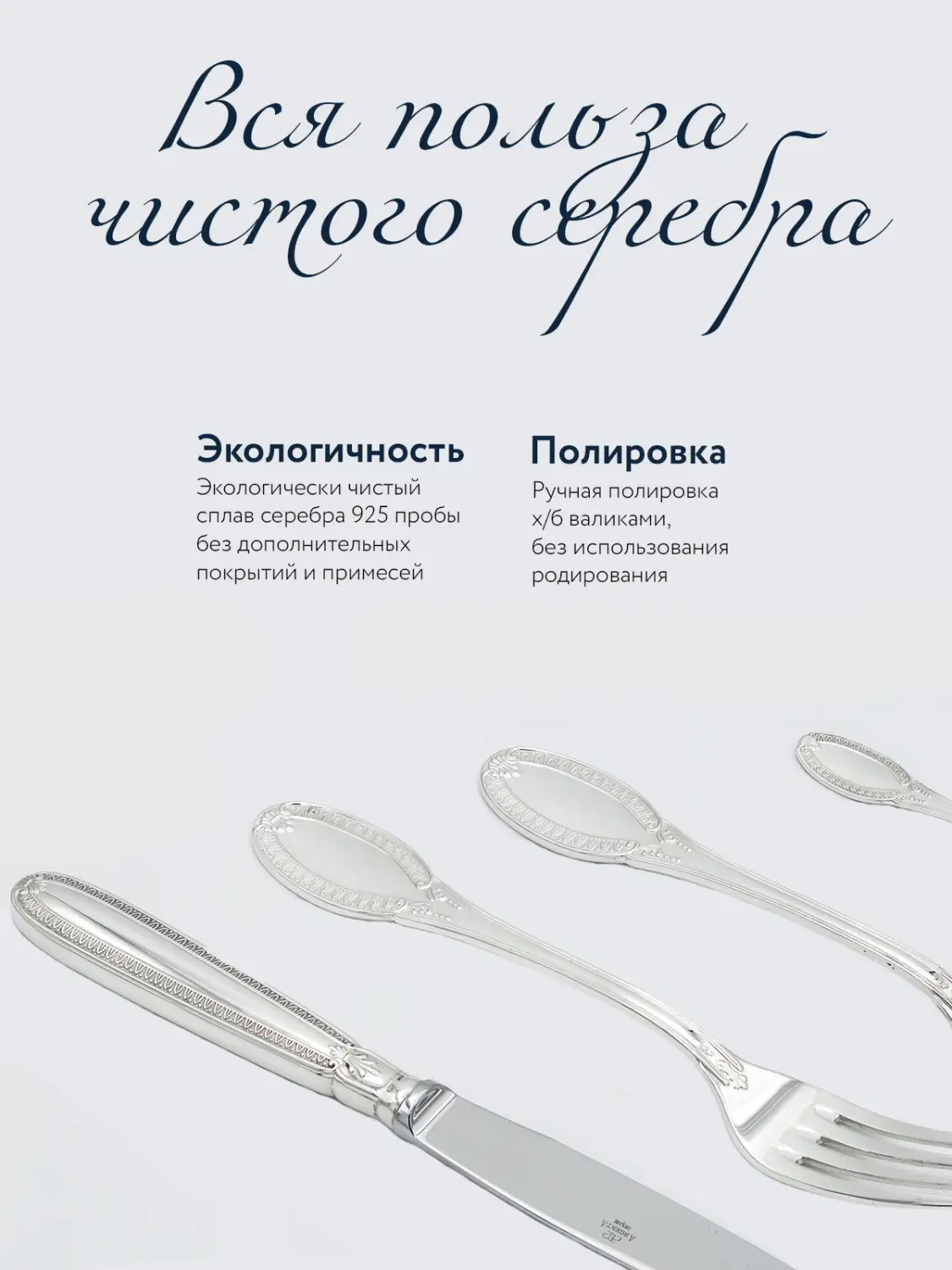 Набор столовый "Император": ложка и чайная ложка (Серебро 925)